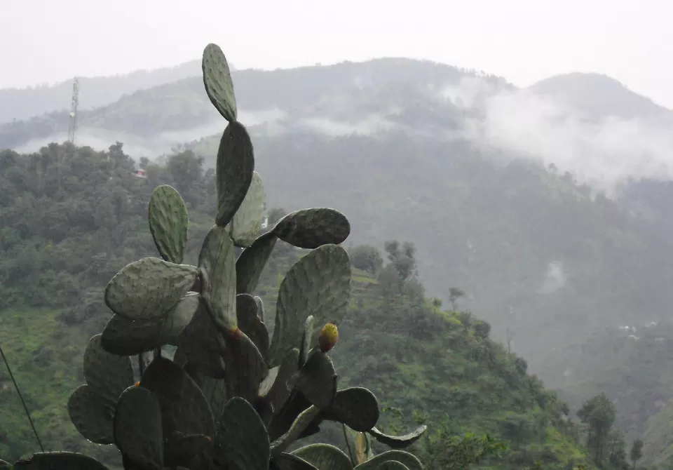 Photo of Khajjiar Himachal Pradesh by Sudhakar Vasudev