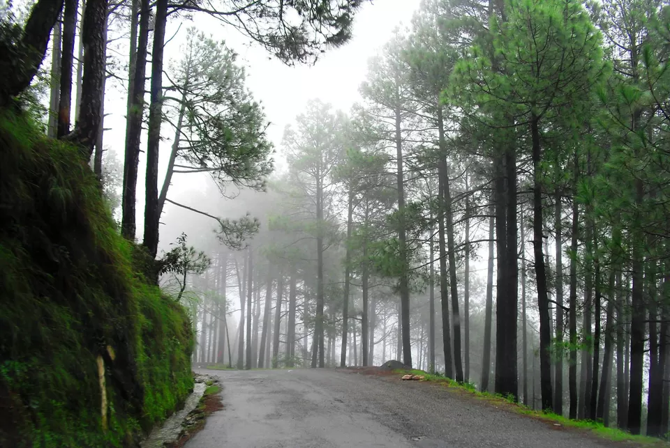 Photo of Khajjiar Himachal Pradesh by Sudhakar Vasudev