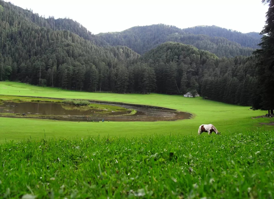 Photo of Khajjiar Himachal Pradesh by Sudhakar Vasudev