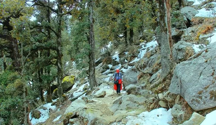 Photo of The Other Way- Churdhar Trek by Sudhakar Vasudev