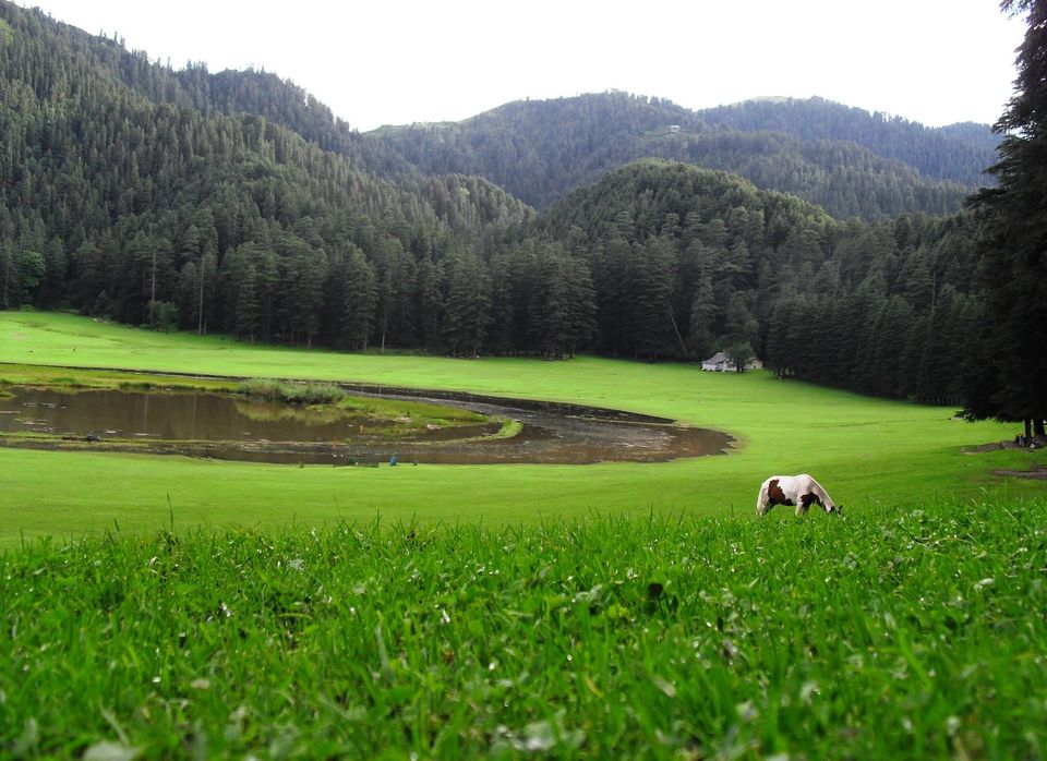 Photo of Mini Switzerland of India by Sudhakar Vasudev