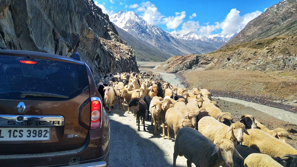 Photo of Spiti Road Trip -1700 Kms Circuit 5/9 by Sudhakar Vasudev