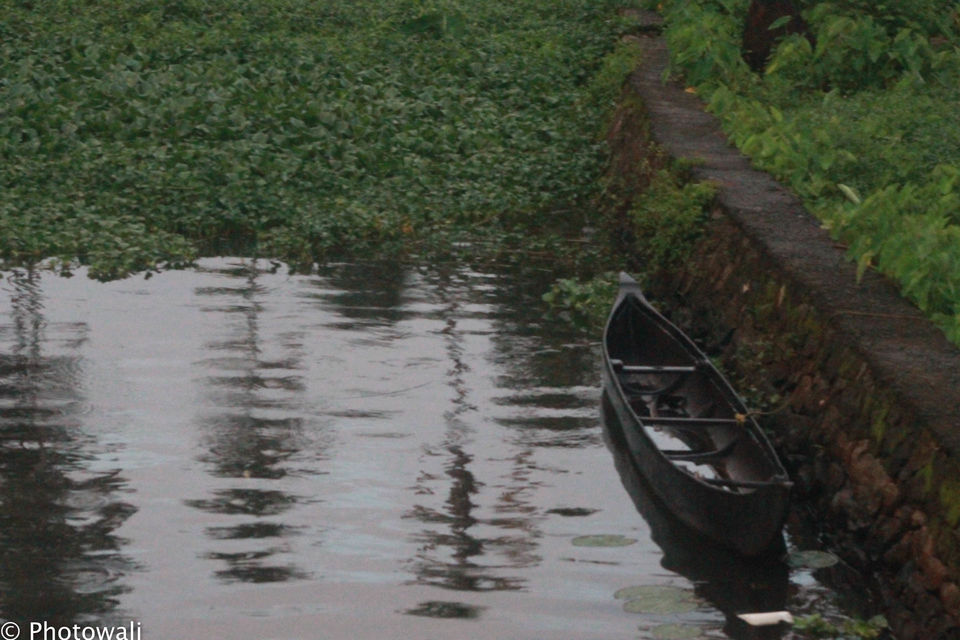 Photo of Backwaters - God's own country - Kerala Take 1! 1/5 by Stacey Mendoz