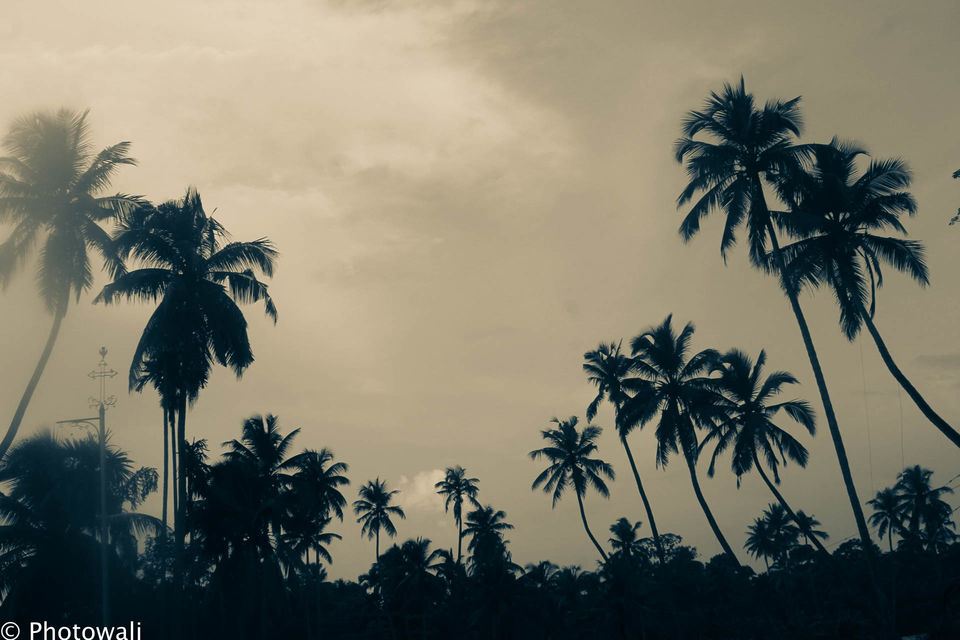 Photo of Backwaters - God's own country - Kerala Take 1! 2/5 by Stacey Mendoz