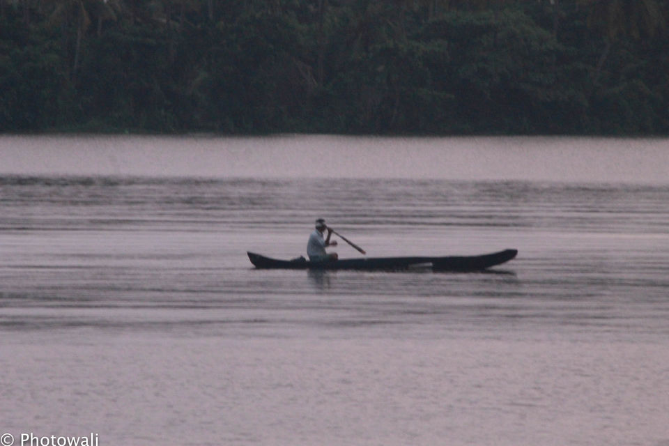 Photo of Backwaters - God's own country - Kerala Take 1! 4/5 by Stacey Mendoz