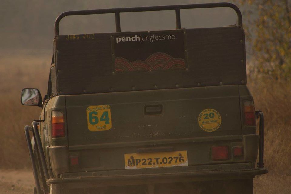 Photo of Pench Tiger Reserve - Into the wild 4/5 by Stacey Mendoz
