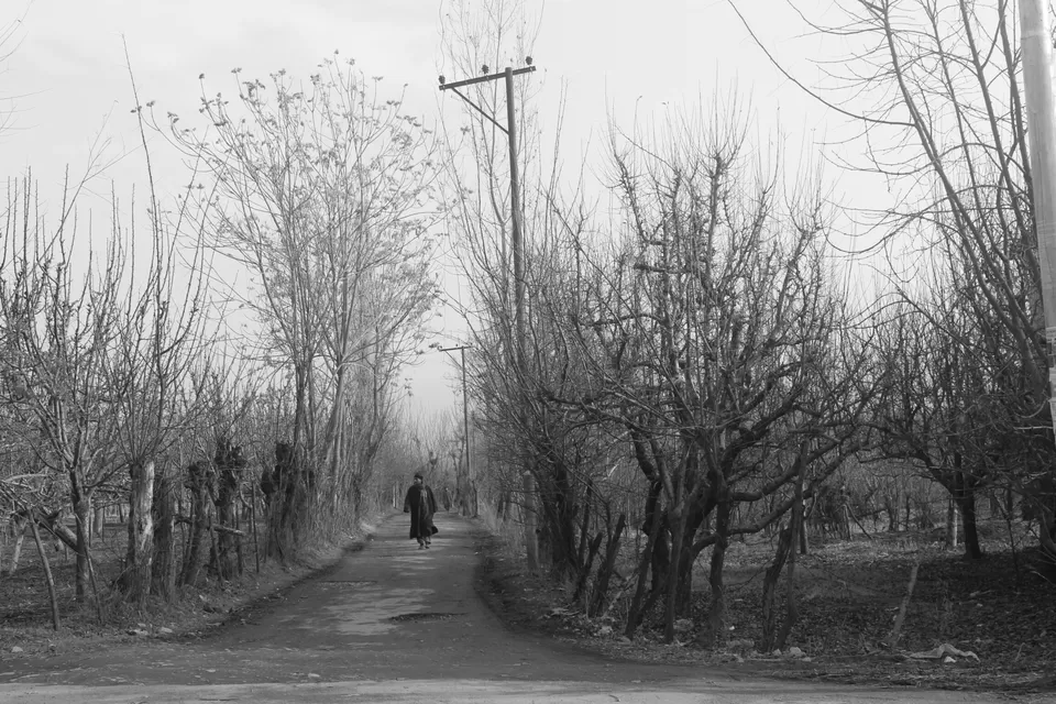 Photo of Kashmir...The only Heaven on Earth by Mangesh Chaphekar