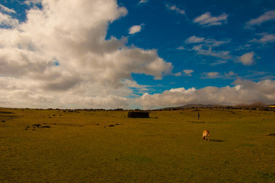 Photo of EASTER ISLAND on a budget 5/13 by Backpack ME