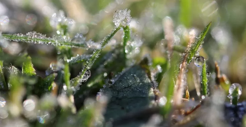 Photo of Kinross, United Kingdom by Nathalie