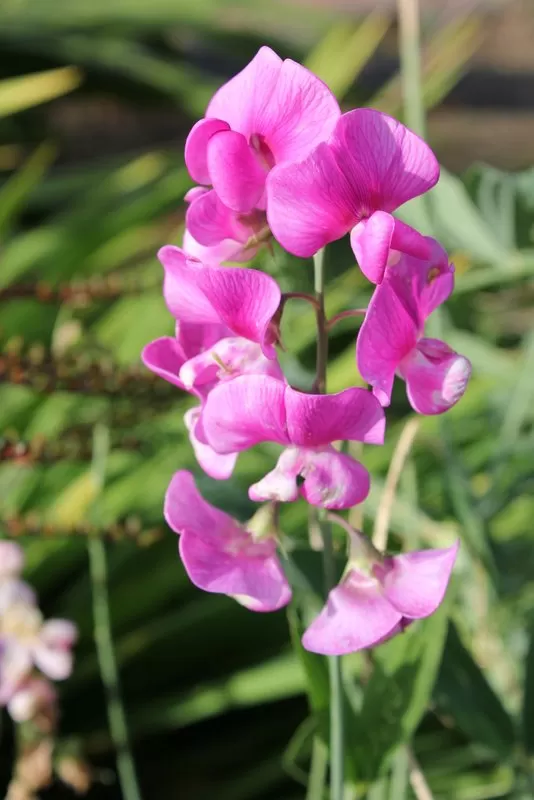 Photo of Dunkeld, United Kingdom by Nathalie