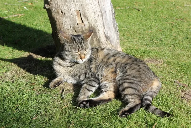 Photo of Dunkeld, United Kingdom by Nathalie