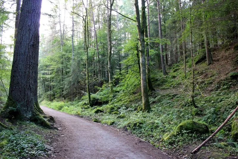 Photo of The Hermitage, Old Military Road, Dunkeld, United Kingdom by Nathalie