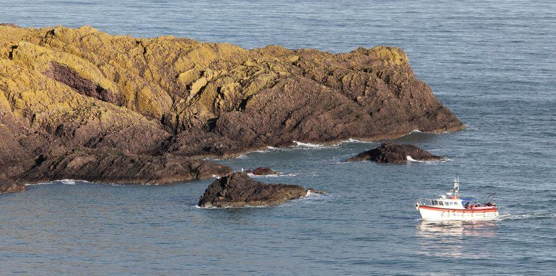 Photo of Dunnottar Castle and Stonehaven 4/9 by Nathalie