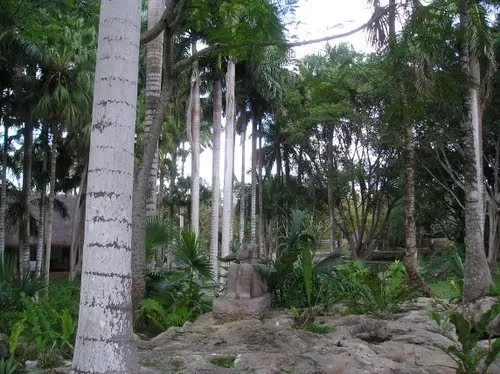 Photo of Cancún, Mexico by Kin Enriquez