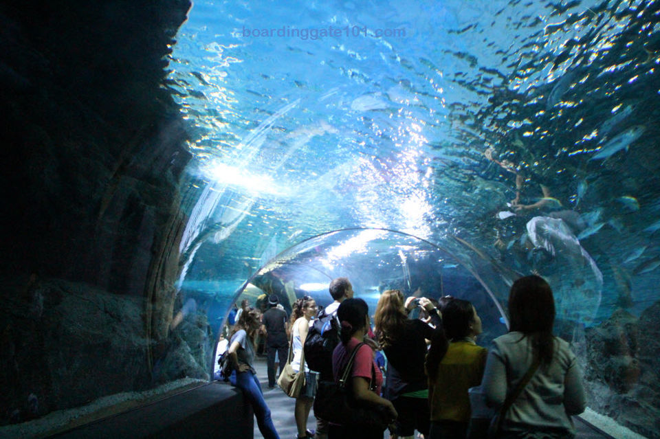 Photo of Siam Ocean World Bangkok Co., LTD. Bangkok Thailand by Kin Enriquez