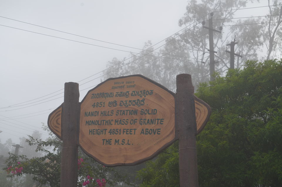 Photo of Enroute to Nandi Hills 5/47 by Nandini Das