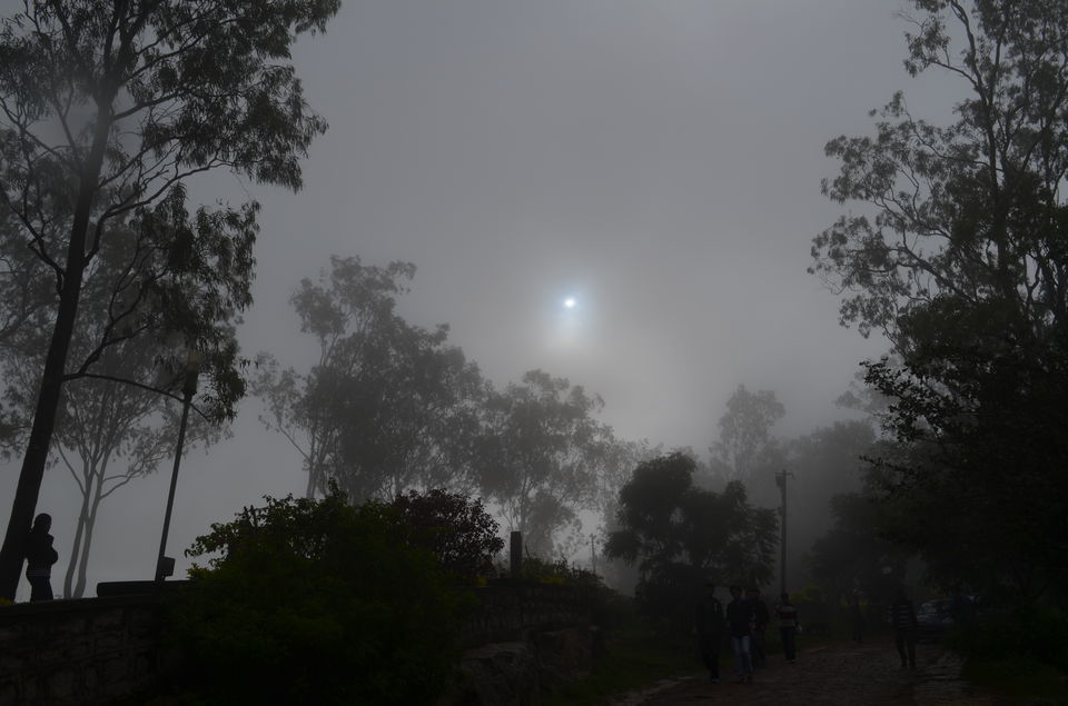 Photo of Enroute to Nandi Hills 7/47 by Nandini Das