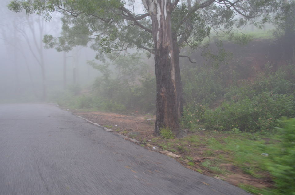 Photo of Enroute to Nandi Hills 10/47 by Nandini Das