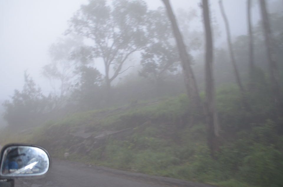 Photo of Enroute to Nandi Hills 11/47 by Nandini Das