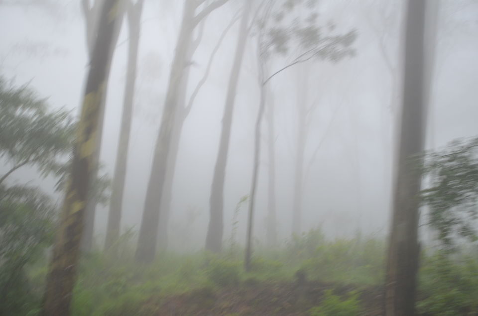 Photo of Enroute to Nandi Hills 13/47 by Nandini Das