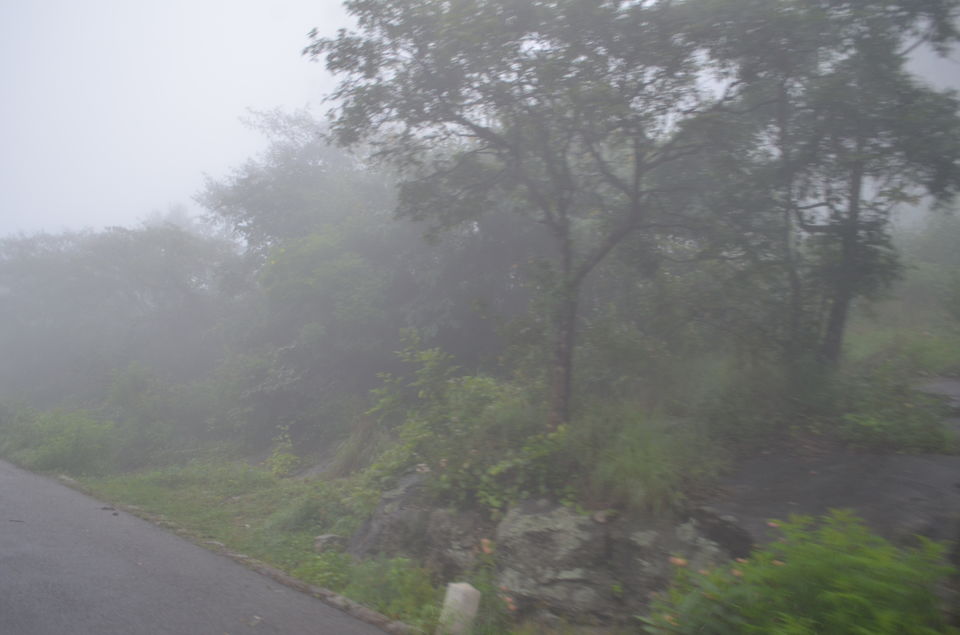 Photo of Enroute to Nandi Hills 14/47 by Nandini Das