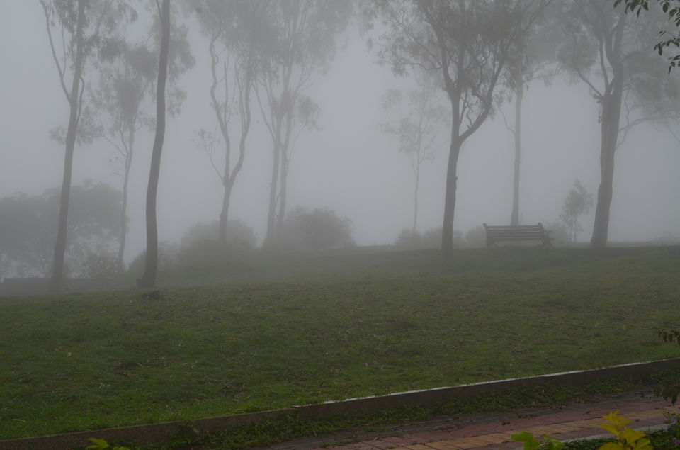 Photo of Enroute to Nandi Hills 16/47 by Nandini Das