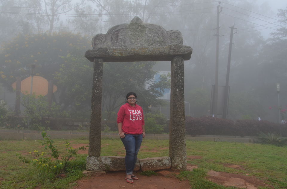 Photo of Enroute to Nandi Hills 21/47 by Nandini Das
