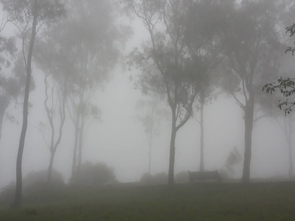 Photo of Enroute to Nandi Hills 24/47 by Nandini Das