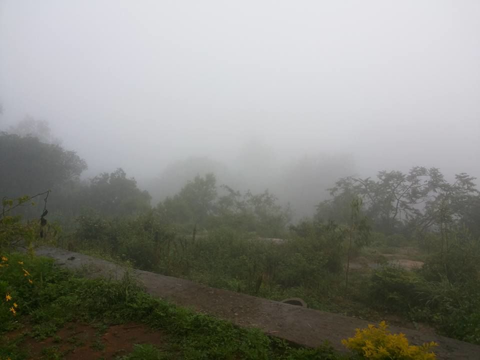 Photo of Enroute to Nandi Hills 26/47 by Nandini Das