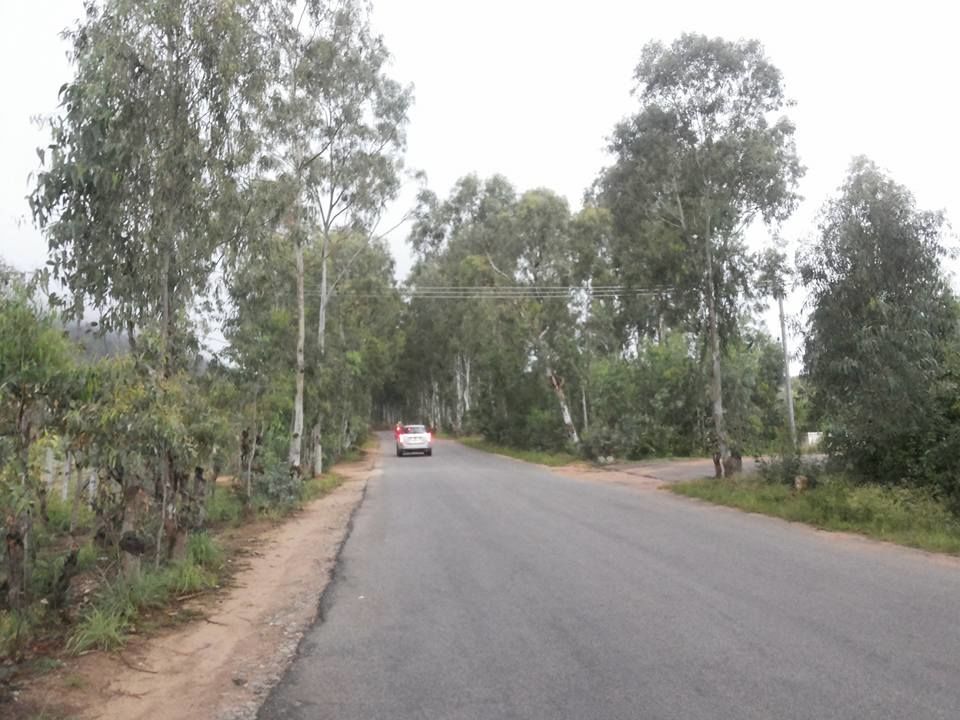 Photo of Enroute to Nandi Hills 28/47 by Nandini Das