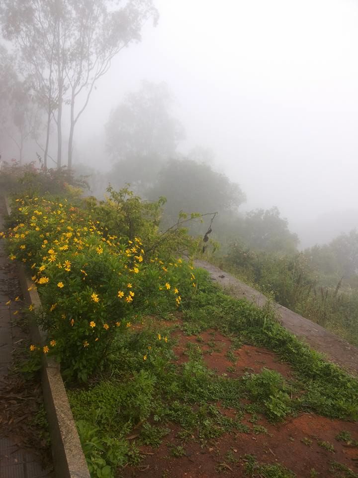 Photo of Enroute to Nandi Hills 29/47 by Nandini Das