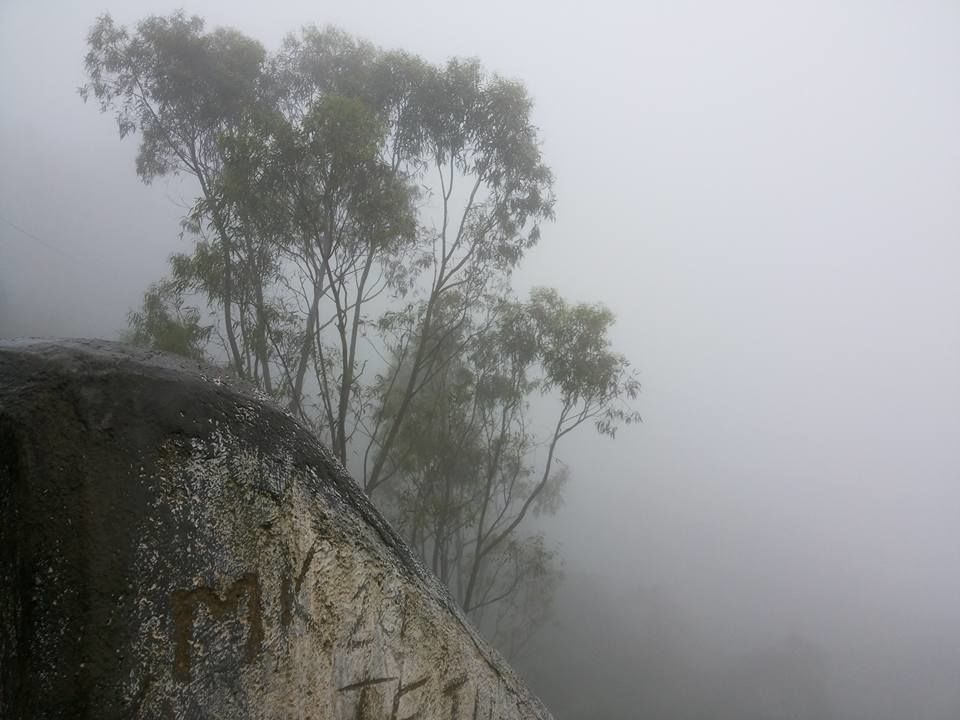 Photo of Enroute to Nandi Hills 32/47 by Nandini Das