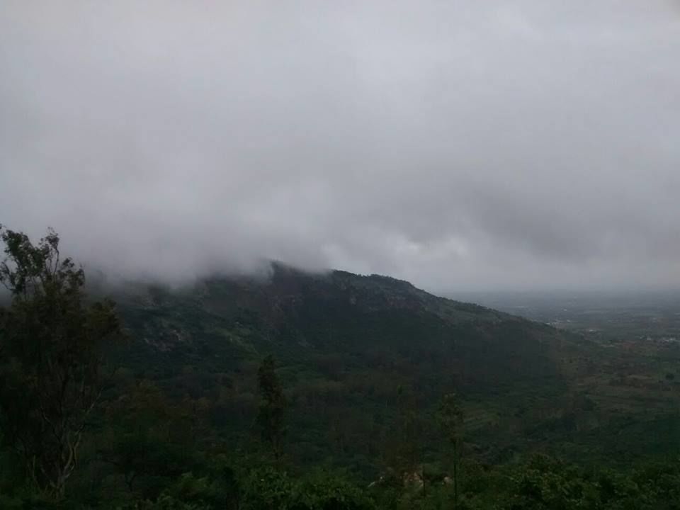 Photo of Enroute to Nandi Hills 33/47 by Nandini Das