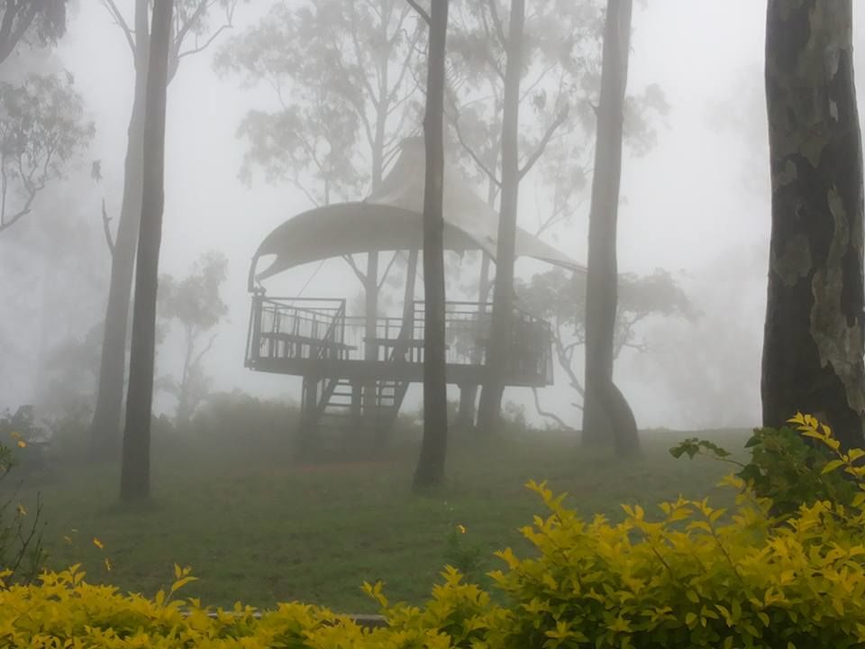 Photo of Enroute to Nandi Hills 34/47 by Nandini Das