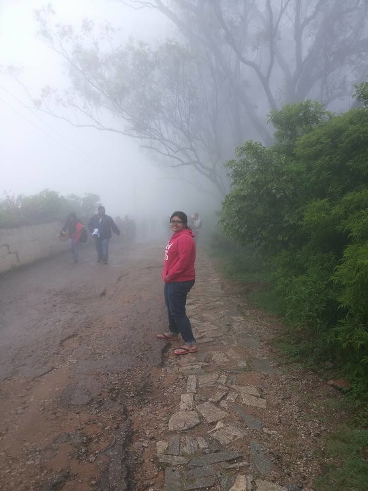 Photo of Enroute to Nandi Hills 35/47 by Nandini Das