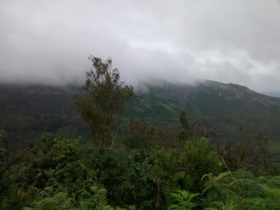 Photo of Enroute to Nandi Hills 36/47 by Nandini Das
