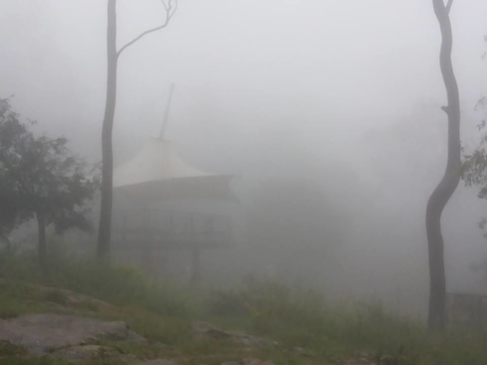 Photo of Enroute to Nandi Hills 37/47 by Nandini Das