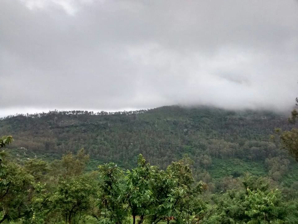 Photo of Enroute to Nandi Hills 41/47 by Nandini Das