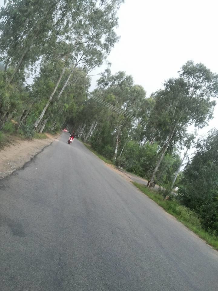 Photo of Enroute to Nandi Hills 42/47 by Nandini Das