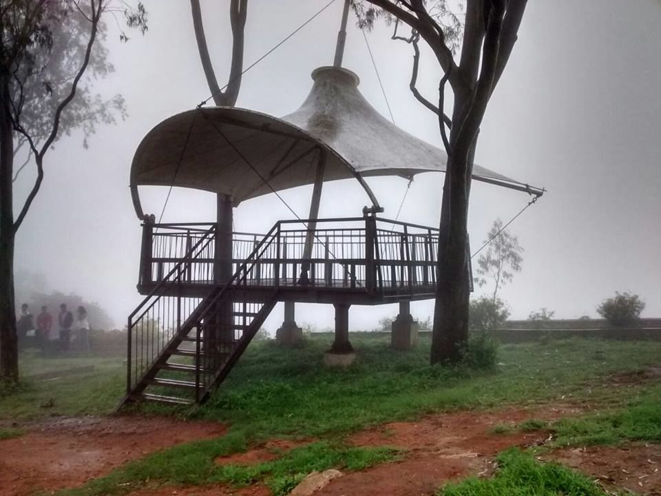 Photo of Enroute to Nandi Hills 43/47 by Nandini Das