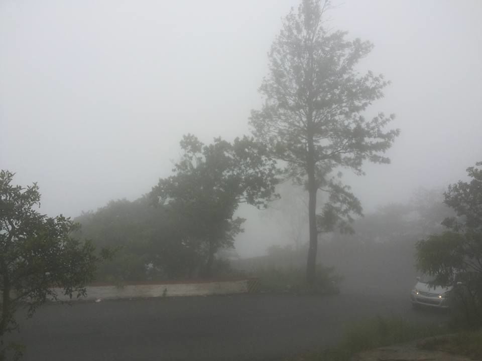 Photo of Enroute to Nandi Hills 44/47 by Nandini Das