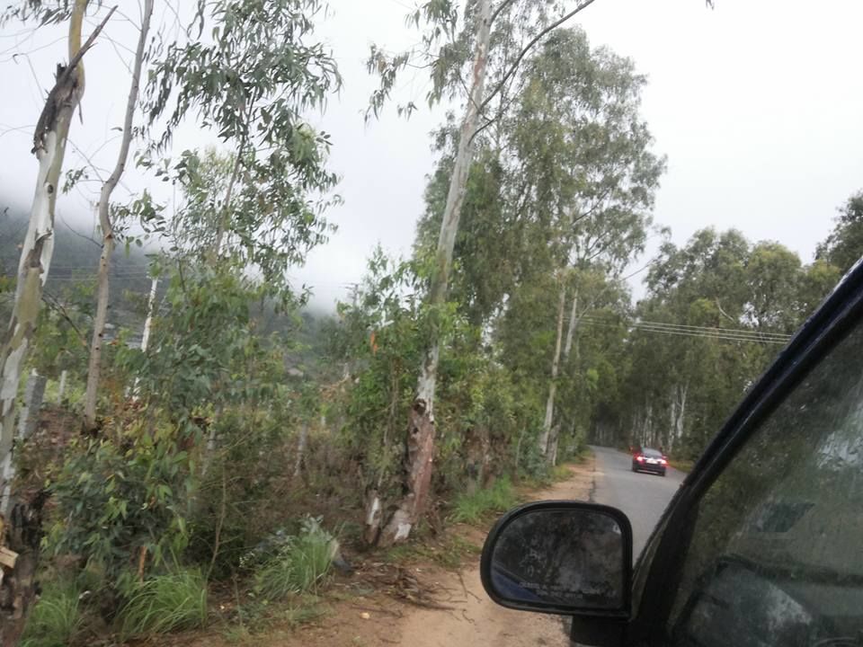 Photo of Enroute to Nandi Hills 45/47 by Nandini Das