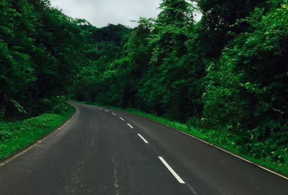Photo of One mistake, made me travel a whole day on Bangalore Pune road. by Radhika Narasimhan