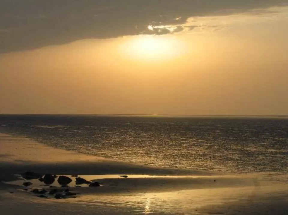 Photo of Shoreline Tales - Part 1 Odisha beaches by Radhika Narasimhan