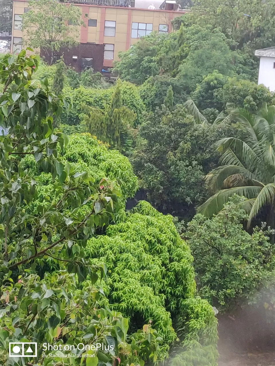 Photo of Mumbai by Radhika Narasimhan