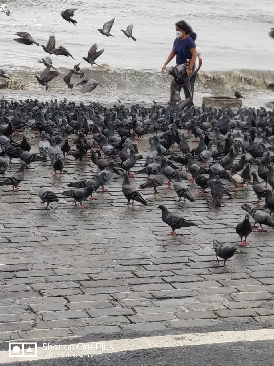 Photo of Mumbai by Radhika Narasimhan