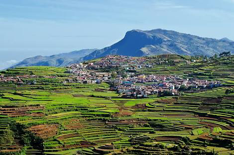 Photo of Summer Visits - Ooty And Kodaikanal-part 1 5/8 by Radhika Narasimhan