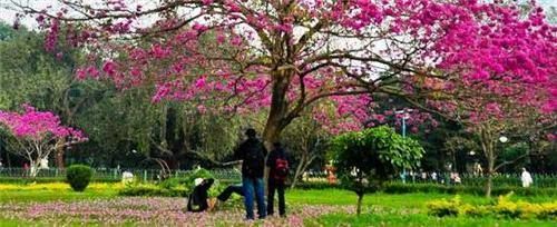 Photo of Places to see in Bangalore. 1/5 by Radhika Narasimhan