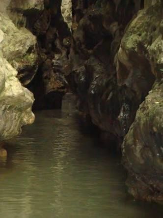 Photo of Places To See In Dehradun 3/7 by Radhika Narasimhan