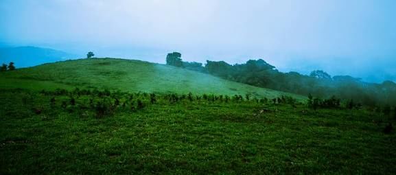Photo of Coorg- Weekend get away 1/5 by Radhika Narasimhan